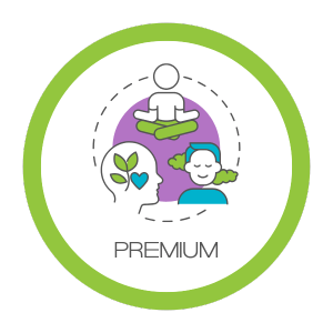 Plan Premium Terapia Presencial de Bienestar Emocional y Mindfulness - Fulness